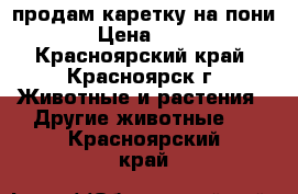  продам каретку на пони › Цена ­ 25 - Красноярский край, Красноярск г. Животные и растения » Другие животные   . Красноярский край